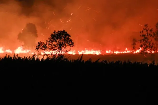 MUI Minta Pemerintah Serius Urus Karhutla hingga Serukan Taubat Nasuha